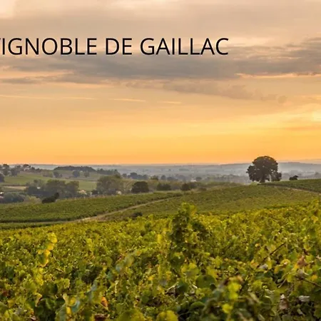 La Toscanelle - Quartier Historique - Apartamento *