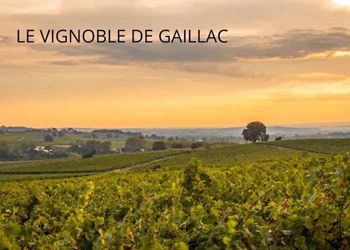 La Toscanelle - Quartier Historique - アパート *